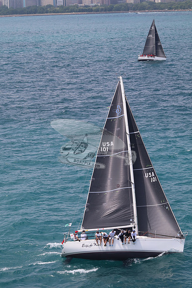 101.ERIZO DE MAR.5840