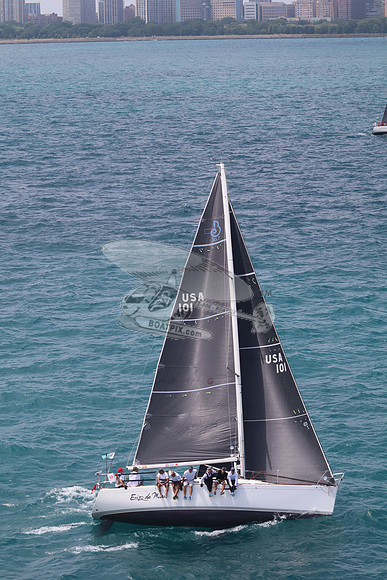101.ERIZO DE MAR.5841