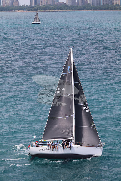 101.ERIZO DE MAR.5842