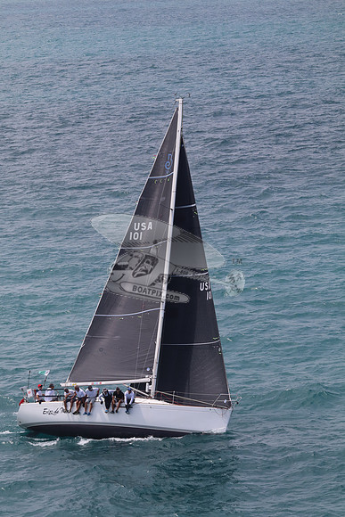 101.ERIZO DE MAR.5844