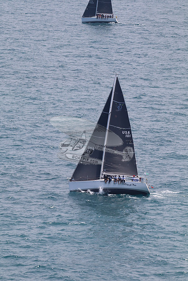 101.ERIZO DE MAR.6963