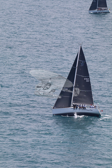 101.ERIZO DE MAR.6964
