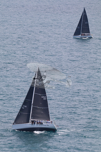 101.ERIZO DE MAR.6965