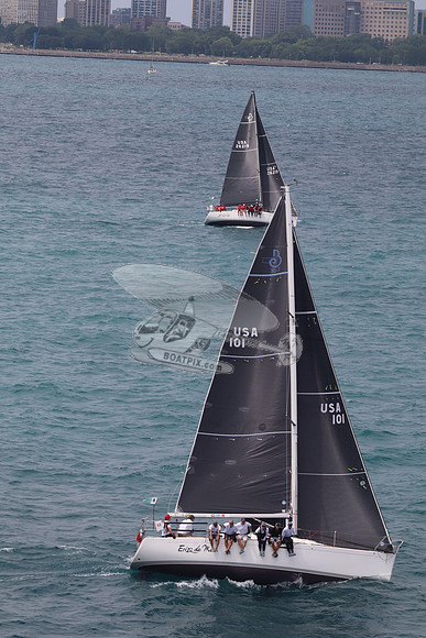 101.ERIZO DEL MAR.5661