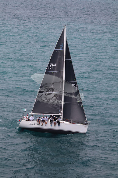 101.ERIZO DEL MAR.5662