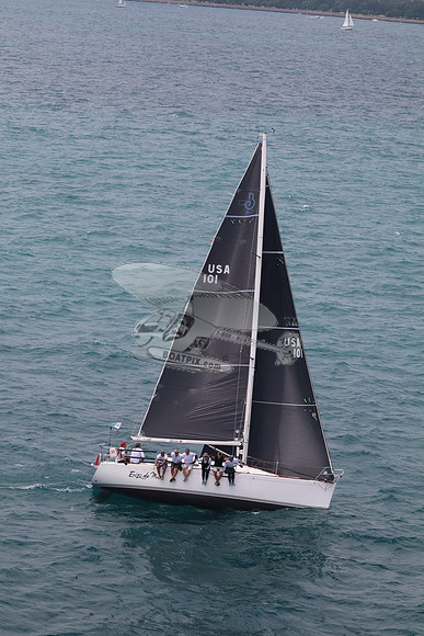 101.ERIZO DEL MAR.5663