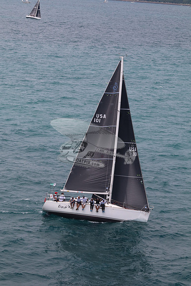101.ERIZO DEL MAR.5664
