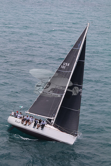 101.ERIZO DEL MAR.5670