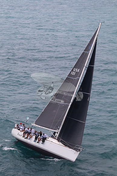 101.ERIZO DEL MAR.5672