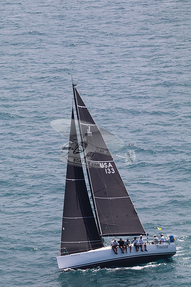 133.TERRIER.7337