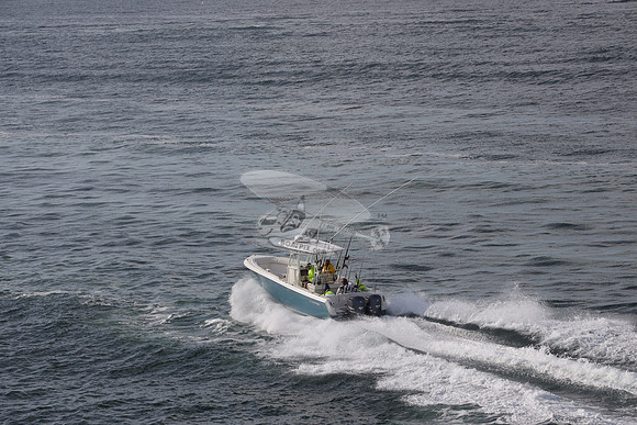 --2871ah.sailfish.blue hull.2773
