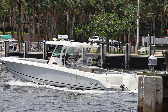 BOSTON WHALER33.3