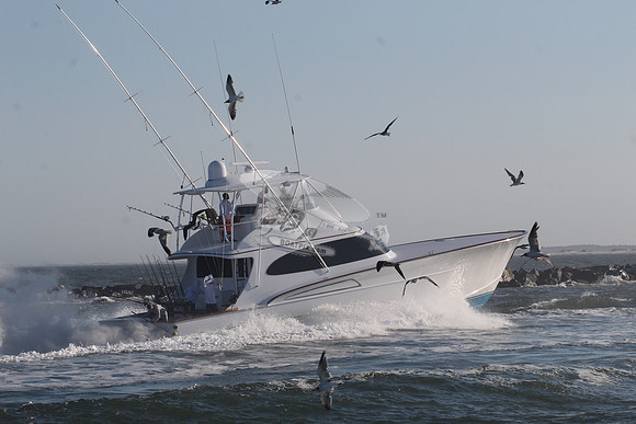 billfisher.9603