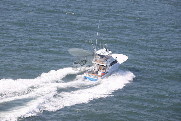 fish repellent.ocean city md.9351