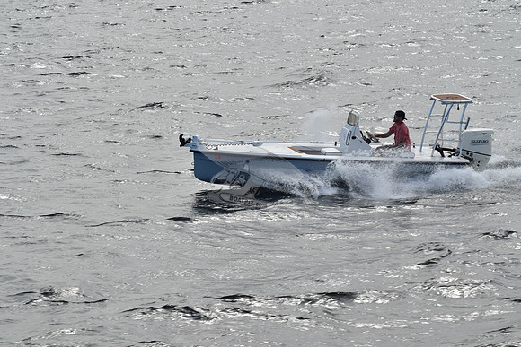 fl1341sv.5