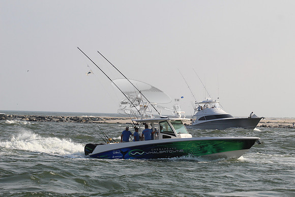 CHESAPEAKE WHALERTOWN.02