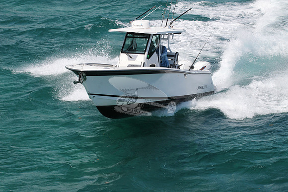 BLACKFIN.20