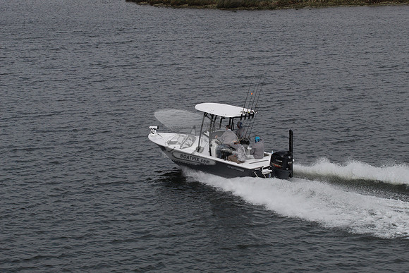 fl0849tb.2