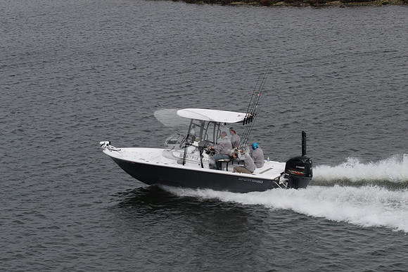 fl0849tb.4