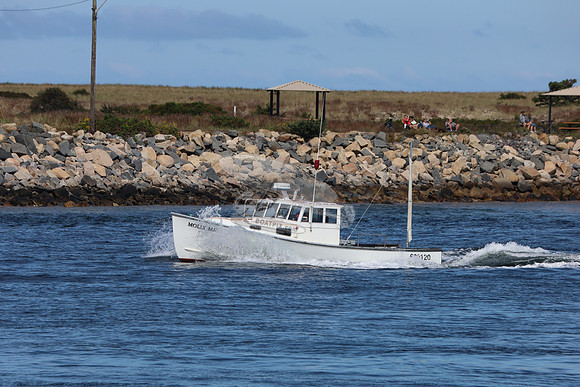 680120.molly may.plymouth ma.6621