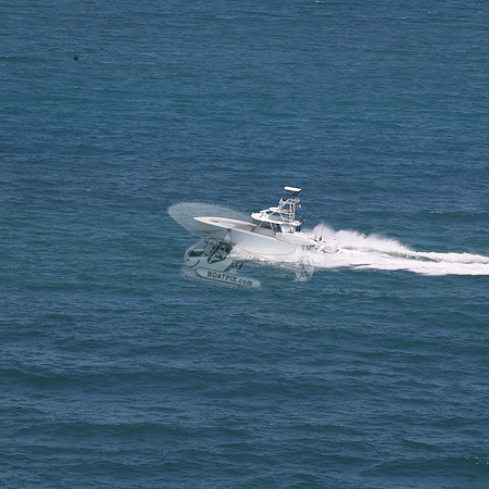 COPA..FL.YELLOWFIN.02