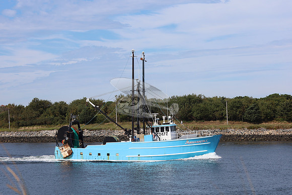 620472.marguerite c.4883