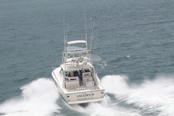 AMADEUS.KEYSTONE PT FL.07