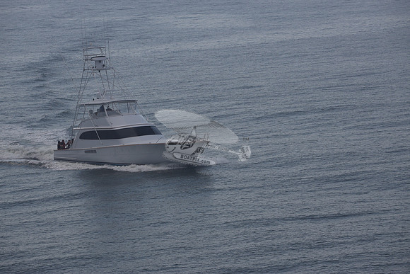 BEAST.PALM BEACH FL.014
