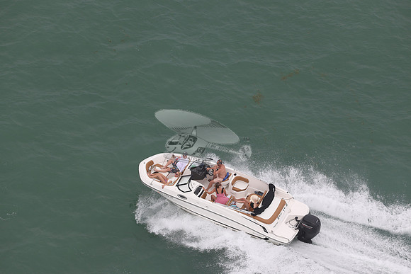 fl2763tb.ahoy roy.9026