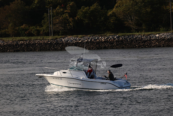 MS7298BA.07