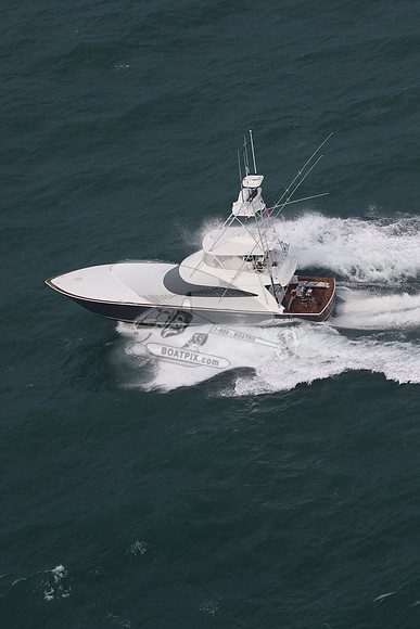 Amigo.7901