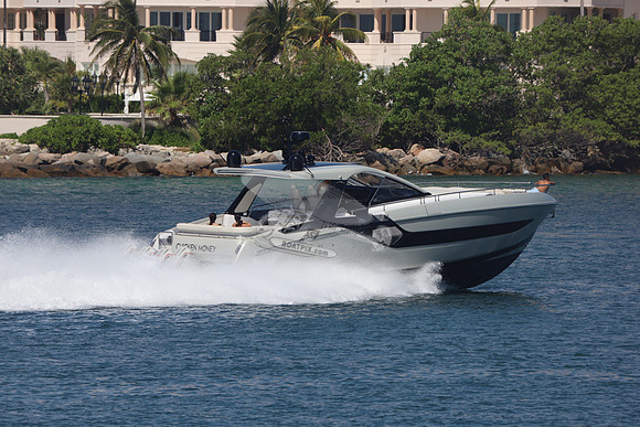 CHICKEN MONEY.AZIMUT.6