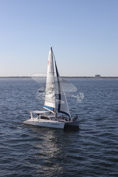63.SOUTHERN STAR.502