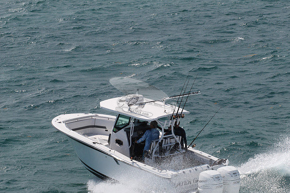 BLACKFIN.06