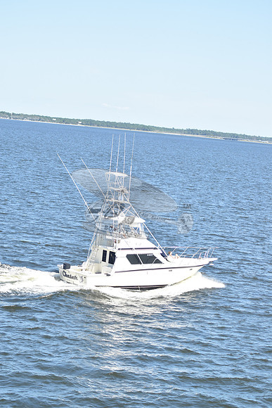 fl0801pj.chaser.55
