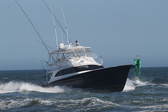 black jack.8002