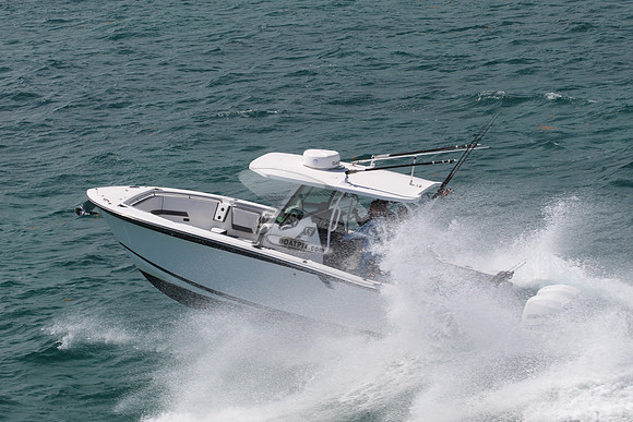 BLACKFIN.11