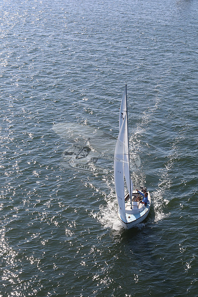 46.1