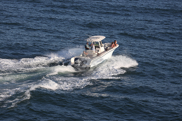 dl8276an.nittony lines.9467