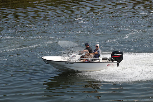 59E37484.BOSTON WHALER.7987