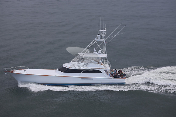 BEAST.PALM BEACH FL.084