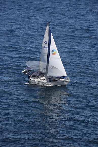 586.CAL 36.07