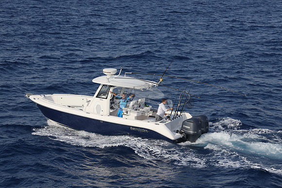 EVERGLADES29.DK BLUE.15