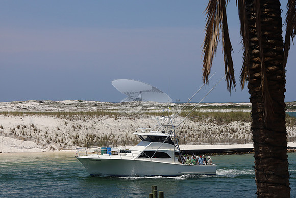100 proof.destin.666035.3