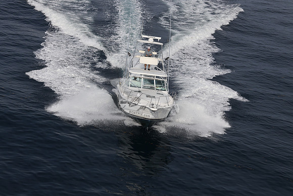 ANGLER MANAGEMENT.FTL.TIARA.29