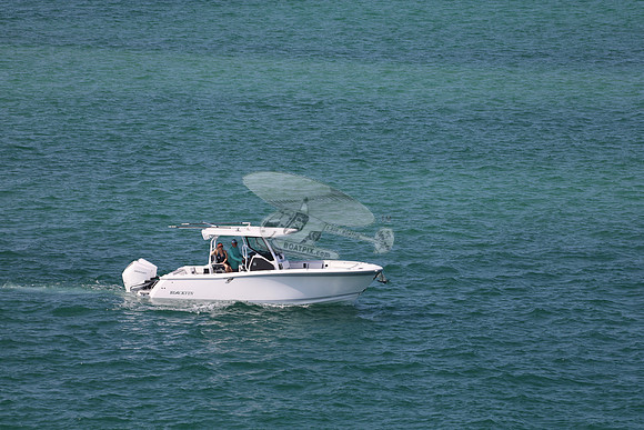 Blackfin.3