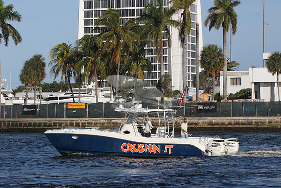 1222133.CRUSHIN IT.WORLD CAT.09