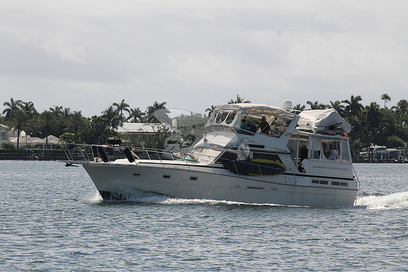 BEL DI.VIKING.3