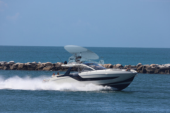 CHICKEN MONEY.AZIMUT.2