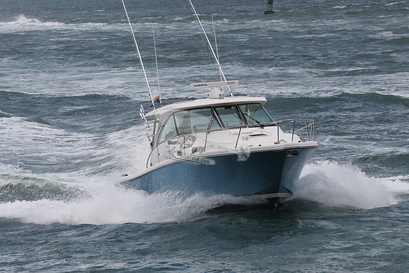ENDLESS SUMMER.COCO GRV FL.PURSUIT38.1